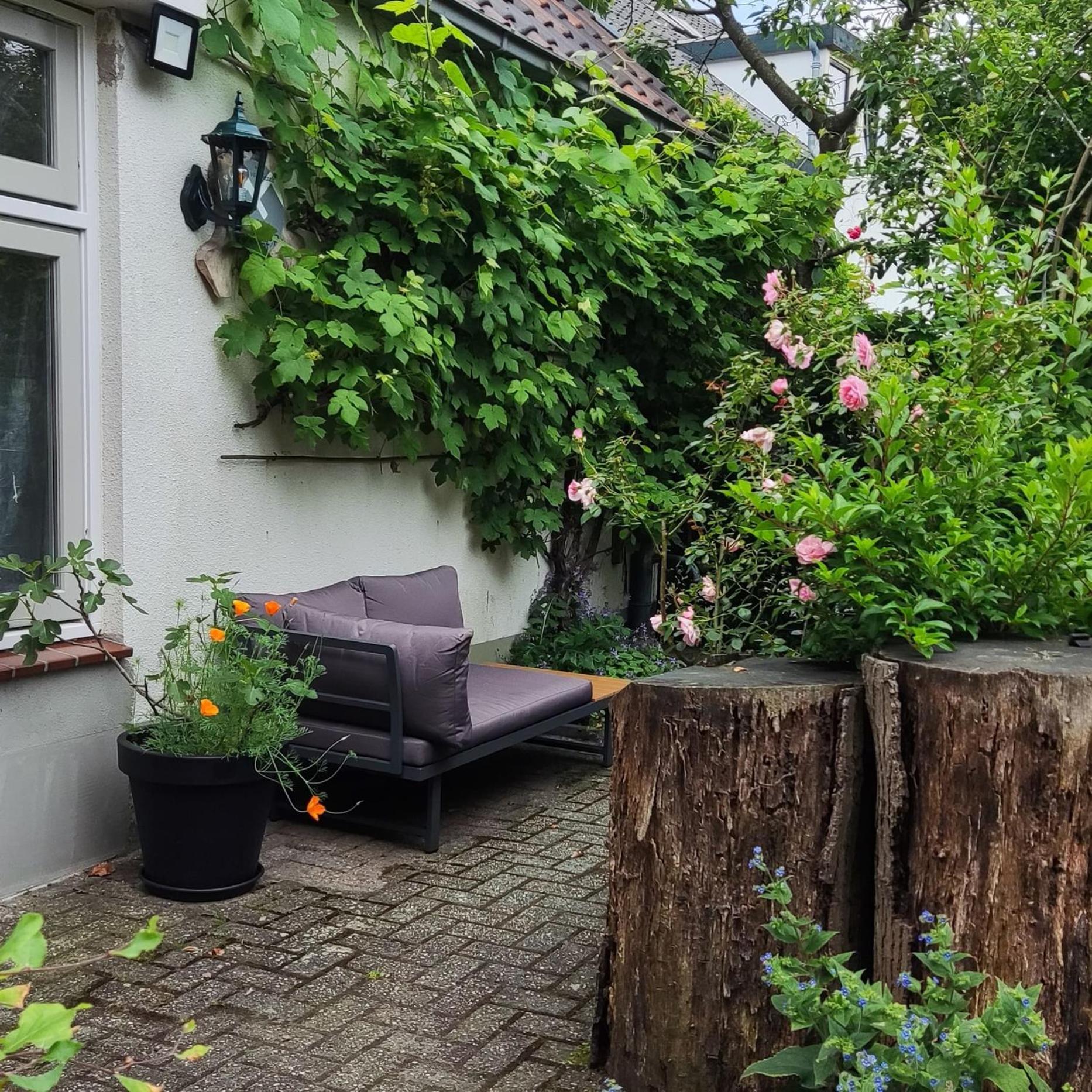 Logies Op Dreef Bed & Breakfast Driebergen Exterior photo